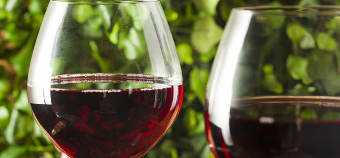 What are tannins?