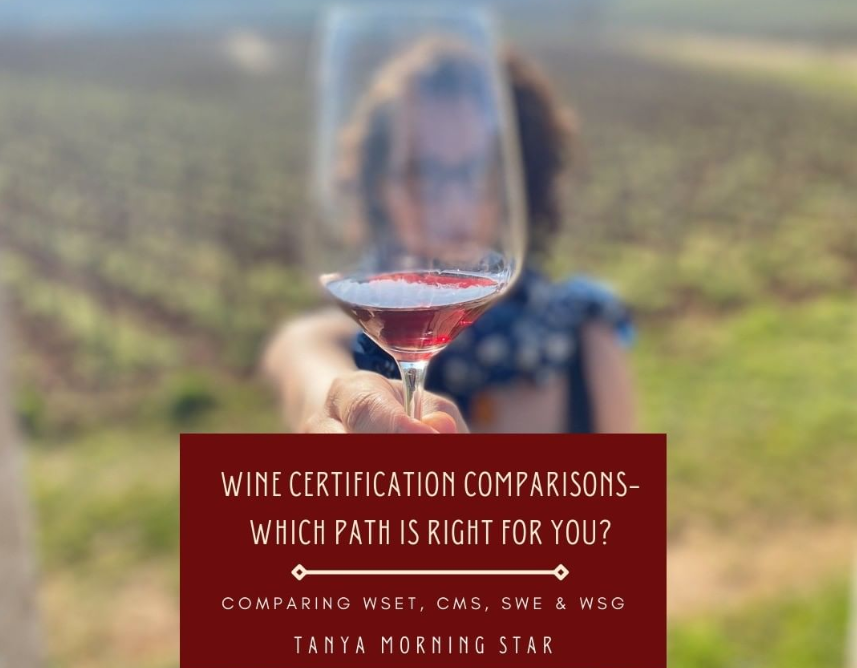 Wine Education: Is it right for you?