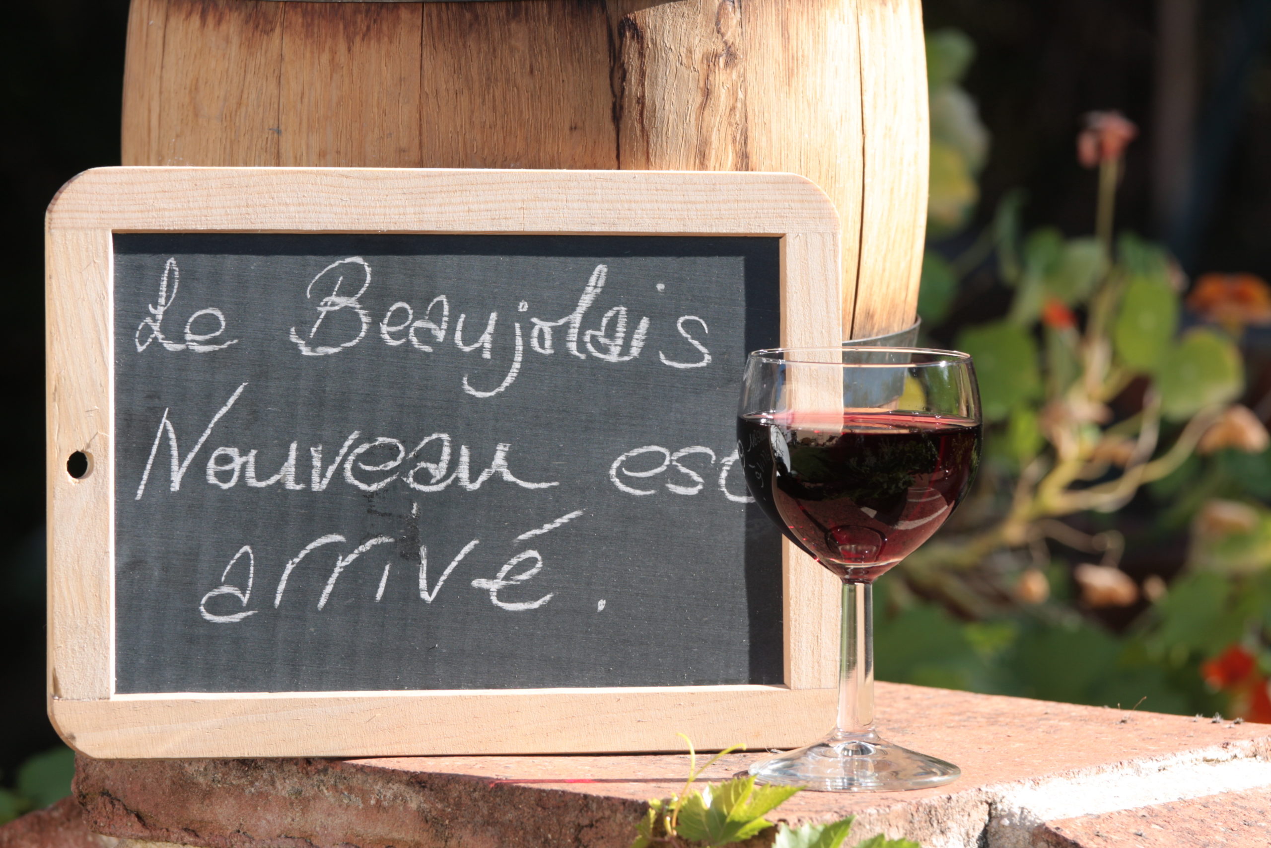 Get to Know Gamay and Beaujolais