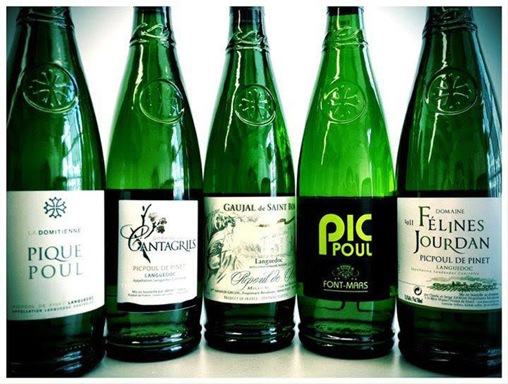 Have You Tried Picpoul?