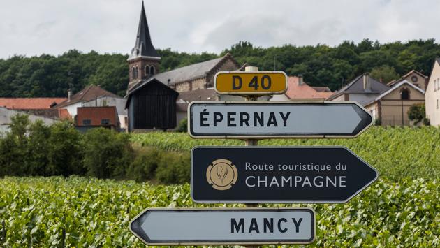How is the Harvest in Champagne Determined?