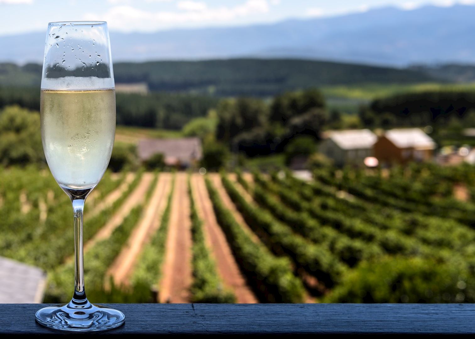 What is cava?