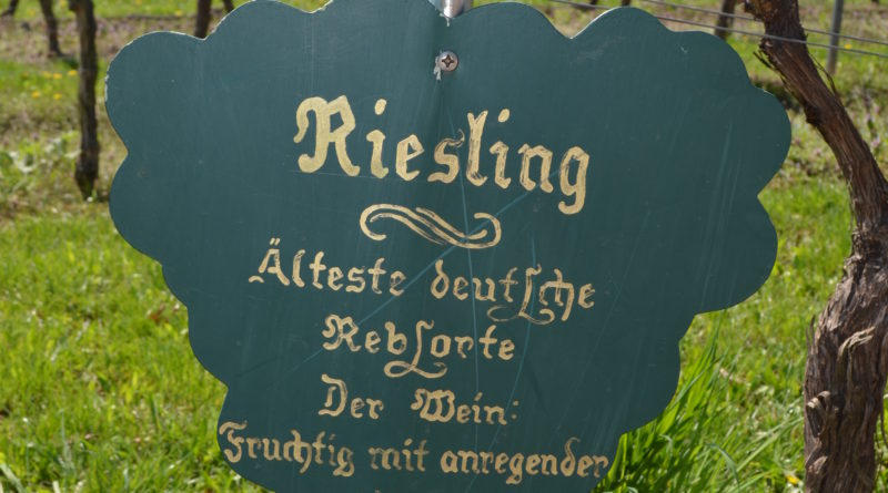 Riesling finds its truest expression in Germany