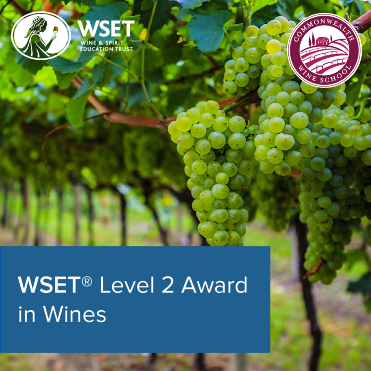 wset Level 2 Wine Classes starting in portsmouth  September 6th