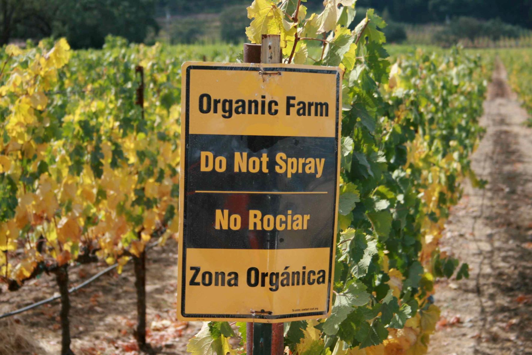 Natural, Sustainable, Organic, Biodynamic – What does it really mean?
