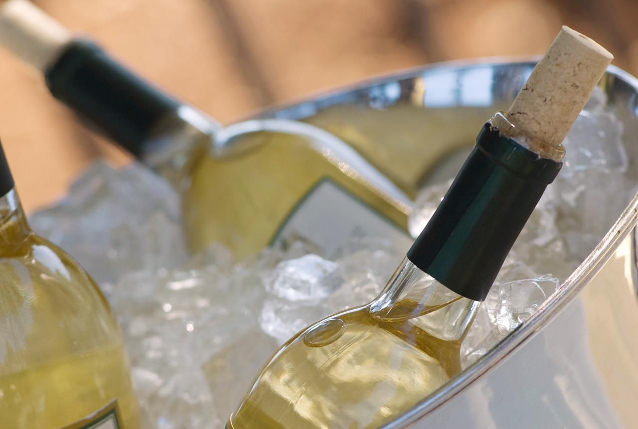 wine 101: what temperature should you serve wine?