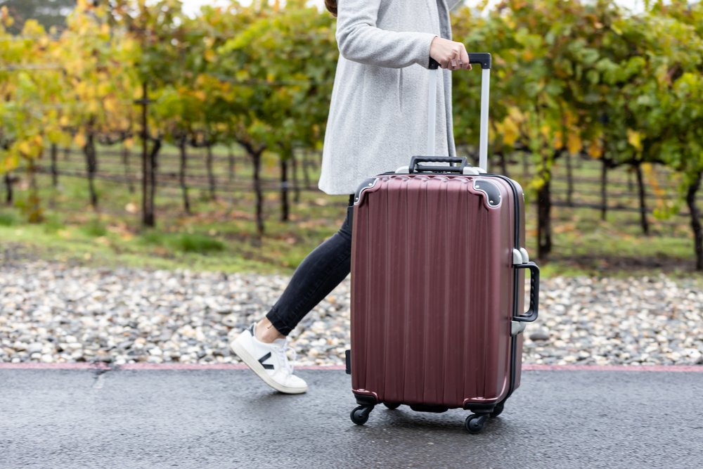 Ready for Wine Travel: VinGardeValise product review