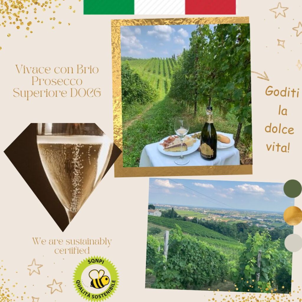 Sustainably certified Asolo Prosecco Superiore D.O.C.G.