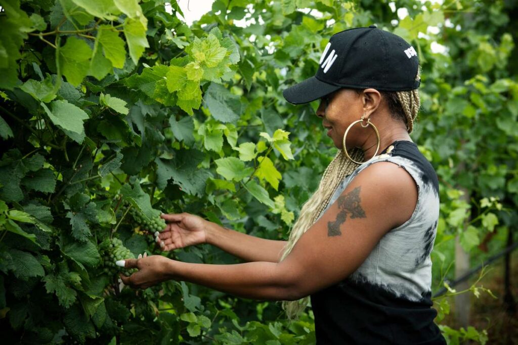 Celebrity, Mary J. Blige touching grapes on the vine
