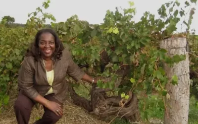 “Vines and Values: A Consumer’s Guide to Sustainable Wine” Author Interview
